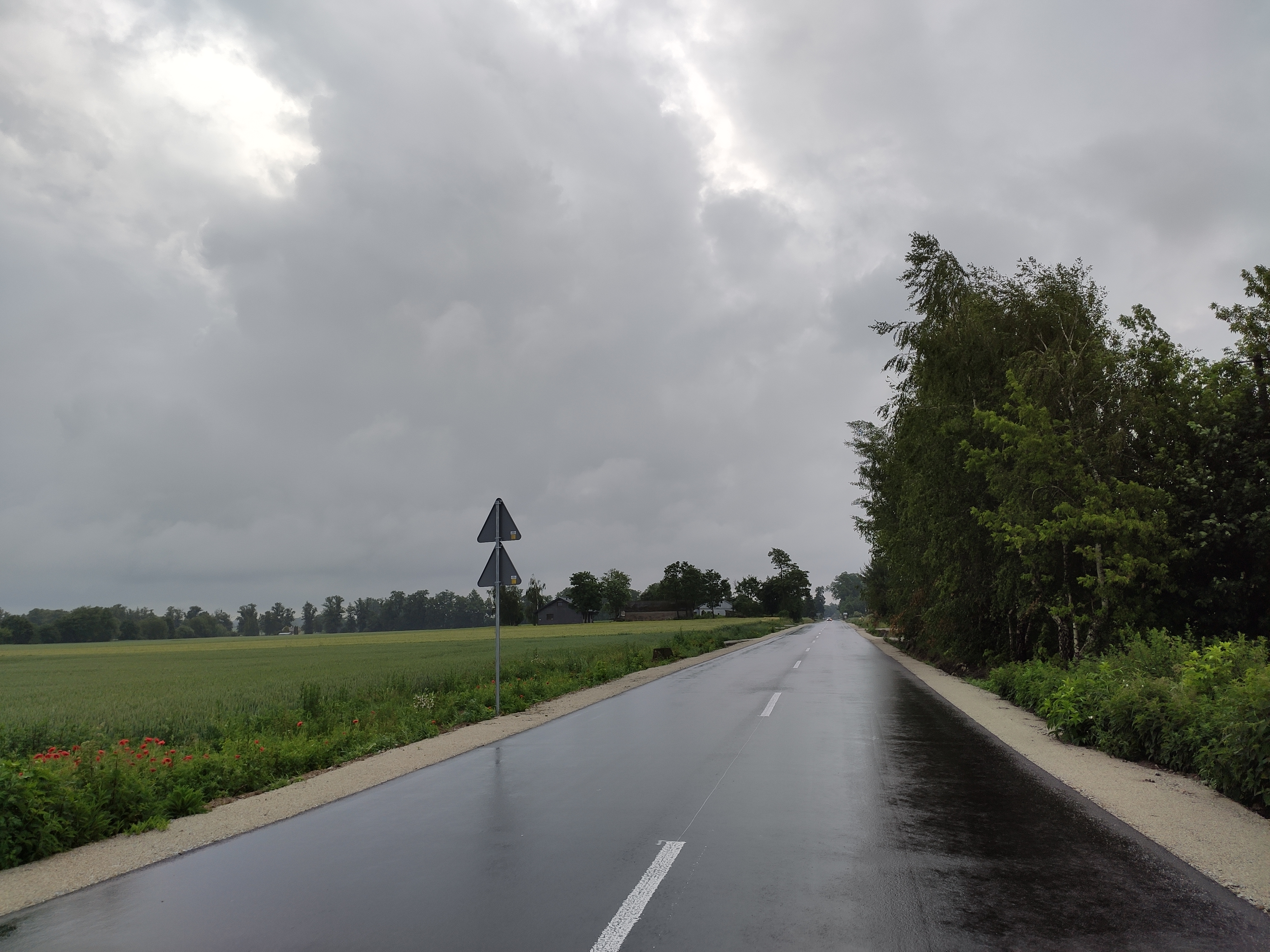 IMG 20250611 082207